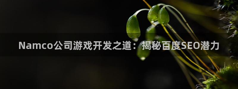 Namco公司游戏开发之道：揭秘百度SE