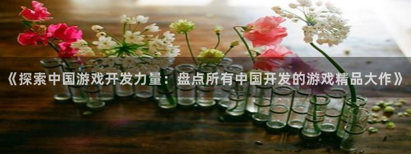 沐鸣网址官网首页：《探索中国游戏开发力量