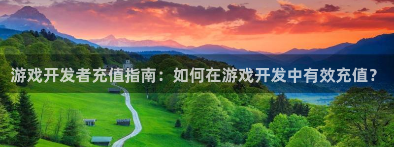 游戏开发者充值指南：如何在游戏开发中有效