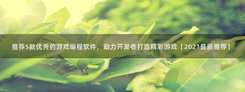 沐鸣娱乐：推荐5款优秀的游戏编程软件，助
