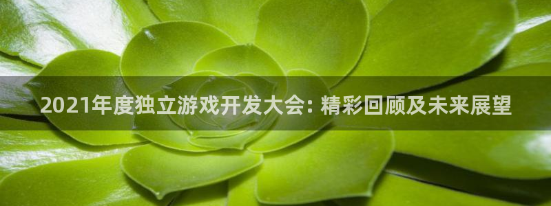 沐鸣娱乐害人：2021年度独立游戏开发大