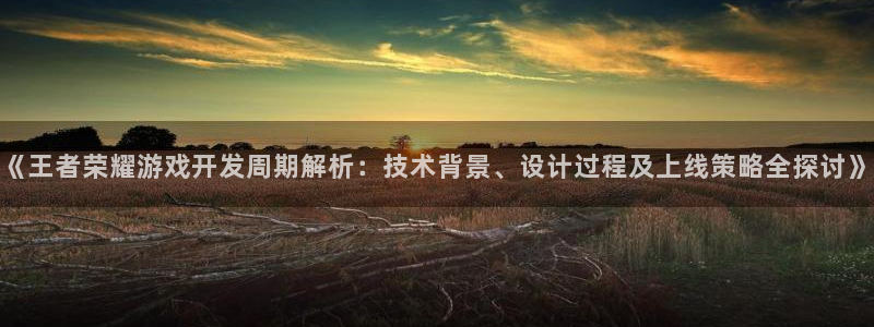 沐鸣娱乐平台反点：《王者荣耀游戏开发周期