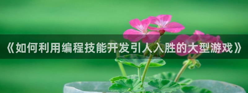 沐鸣娱乐害人：《如何利用编程技能开发引人