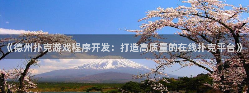 沐鸣科技有限公司官网招聘