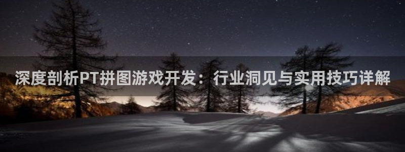 沐鸣平台总代理：深度剖析PT拼图游戏开发