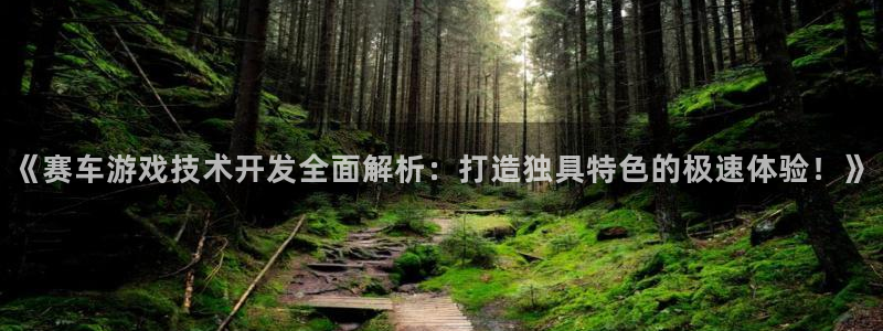 沐鸣平台代理：《赛车游戏技术开发全面解析