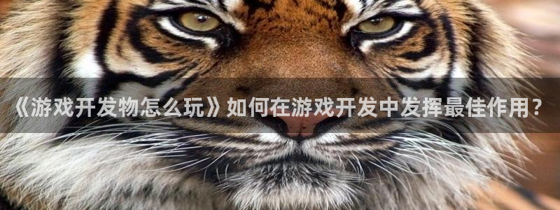 沐鸣娱乐官方网站注册链接：《游戏开发物怎