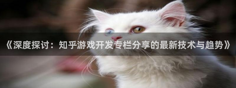 沐鸣3平台登录：《深度探讨：知乎游戏开发