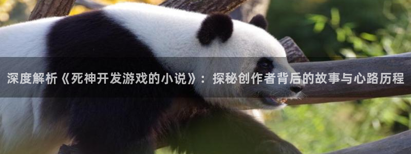 沐鸣娱乐在线登录：深度解析《死神开发游戏