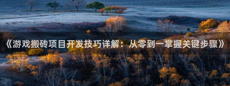 沐鸣娱乐怎么注册：《游戏搬砖项目开发技巧