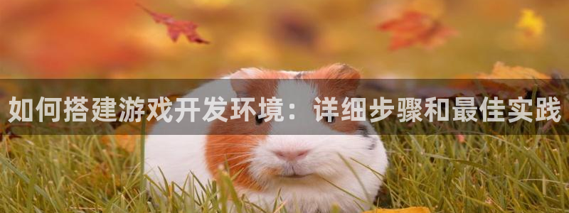 沐鸣娱乐招商：如何搭建游戏开发环境：详细