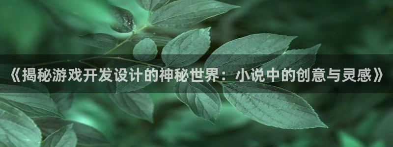 沐鸣娱乐平台登录不上：《揭秘游戏开发设计