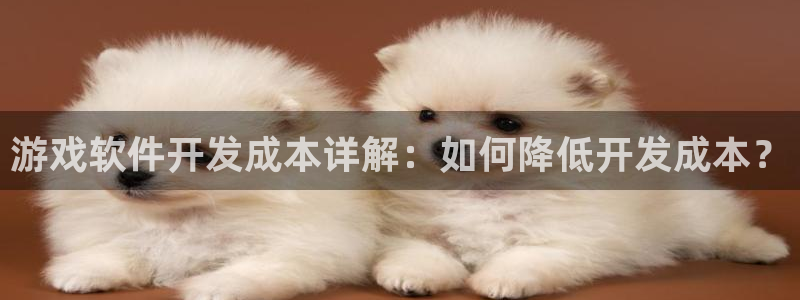 沐鸣官网登录：游戏软件开发成本详解：如何