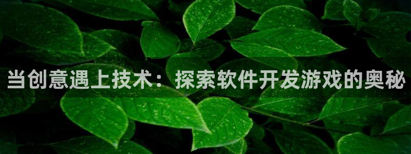 沐鸣1登录地址：当创意遇上技术：探索软件
