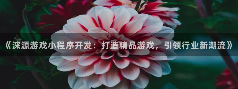 沐鸣3平台注册：《涞源游戏小程序开发：打