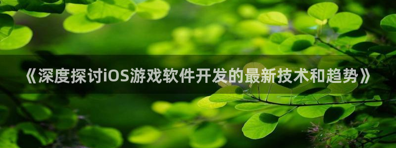 沐鸣娱乐以884340妥：《深度探讨iO