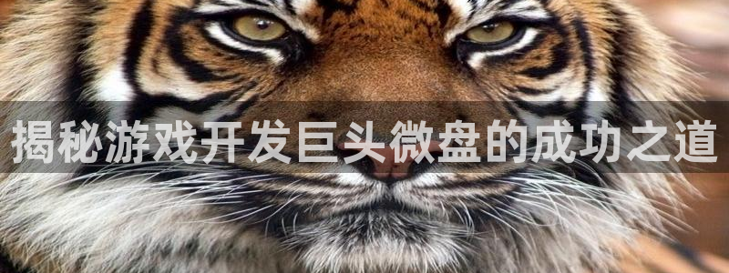 沐鸣科技业务员怎么样：揭秘游戏开发巨头微