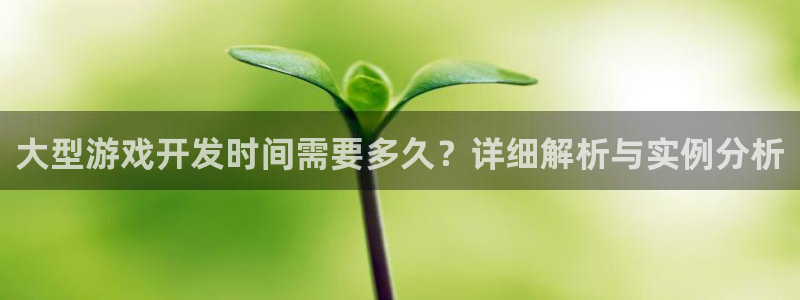 沐鸣娱乐官方平台是什么：大型游戏开发时间