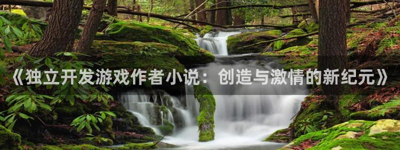 沐鸣平台总代理电话号码：《独立开发游戏作