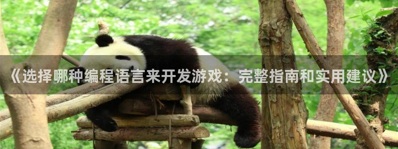 沐鸣注册开户：《选择哪种编程语言来开发游