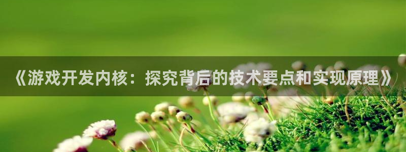 沐鸣娱乐官方网站入口：《游戏开发内核：探