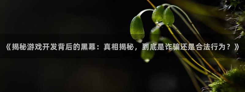 沐鸣咨询：《揭秘游戏开发背后的黑幕：真相