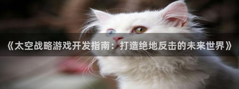 沐鸣娱乐-官方网站：《太空战略游戏开发指