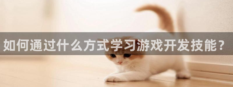 沐鸣科技有限公司：如何通过什么方式学习游
