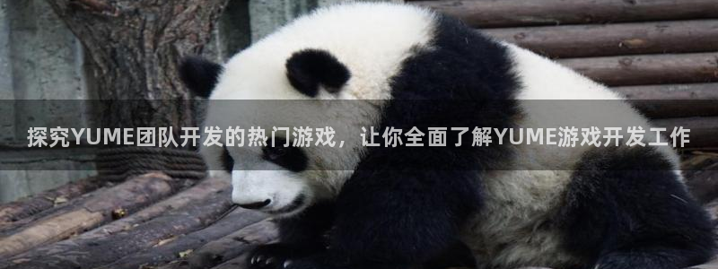 沐鸣娱乐官方平台：探究YUME团队开发的