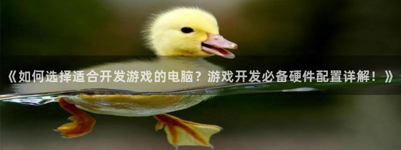 沐鸣娱乐平台登录入口：《如何选择适合开发