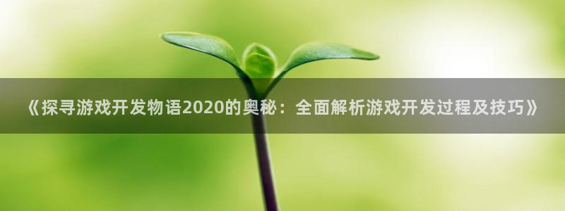 沐鸣开户计划：《探寻游戏开发物语2020