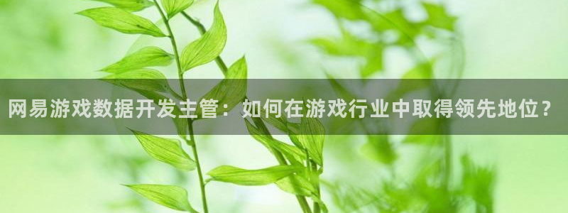沐鸣4开户：网易游戏数据开发主管：如何在