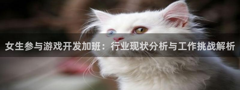 沐鸣注册网站是什么：女生参与游戏开发加班