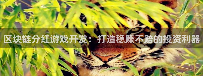 沐鸣平台代理：区块链分红游戏开发：打造稳