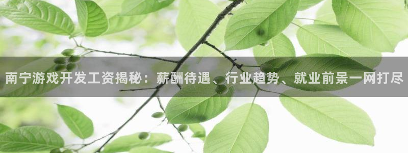 沐鸣娱乐官方平台怎么样：南宁游戏开发工资
