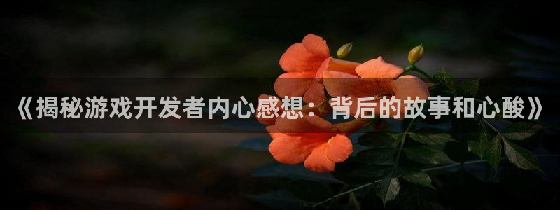 沐鸣科技有哪些产品啊：《揭秘游戏开发者内