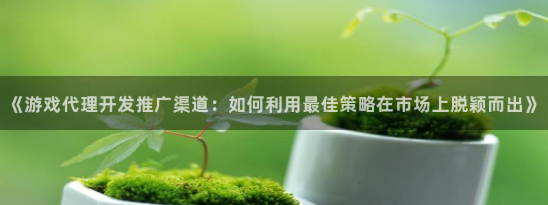 沐鸣娱乐账号怎么注册不了：《游戏代理开发