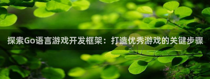 沐鸣娱乐以884340妥：探索Go语言游