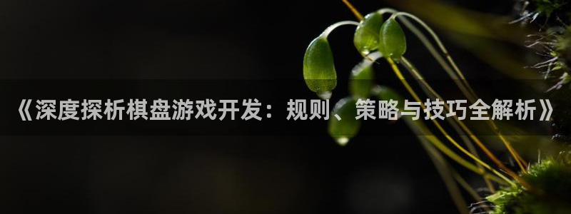 沐鸣娱乐llapp下载：《深度探析棋盘游