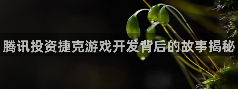 沐鸣游戏~53866：腾讯投资捷克游戏开
