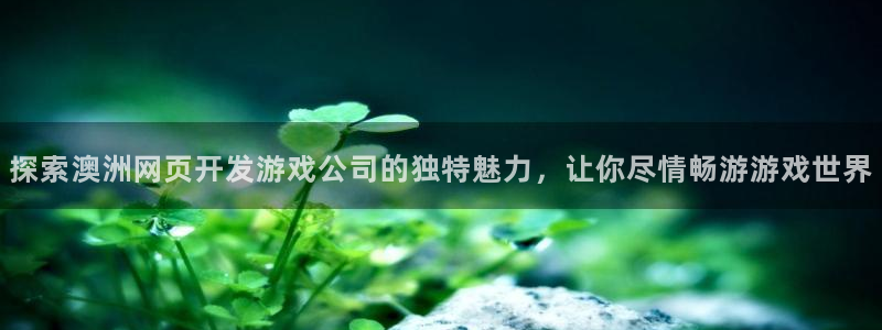 沐鸣平台登陆：探索澳洲网页开发游戏公司的