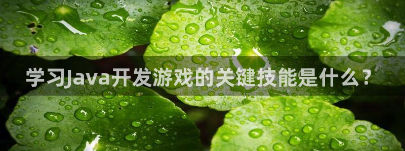 沐鸣娱乐平台怎么样可靠吗：学习Java开