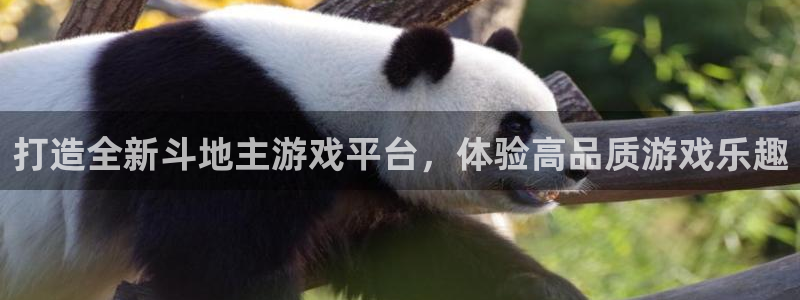沐鸣注册会员中心：打造全新斗地主游戏平台