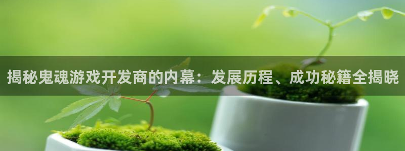 沐鸣1平台：揭秘鬼魂游戏开发商的内幕：发