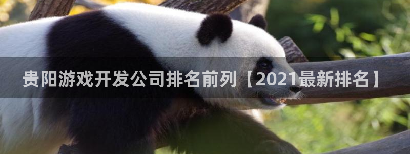 手机版沐鸣客户端下载：贵阳游戏开发公司排