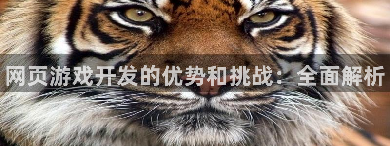 沐鸣登录网址是什么：网页游戏开发的优势和