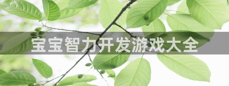 沐鸣娱乐平台怎么样：宝宝智力开发游戏大全