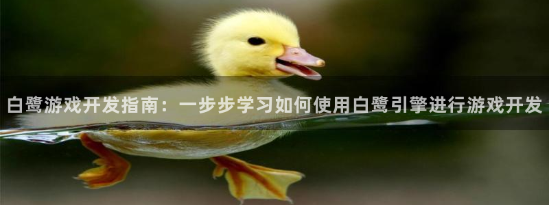 沐鸣平台注册登陆：白鹭游戏开发指南：一步
