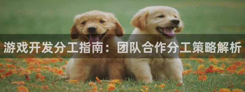 沐鸣平台代理注册多少钱啊：游戏开发分工指