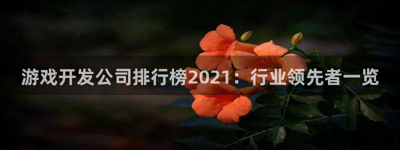 沐鸣官网登录：游戏开发公司排行榜2021